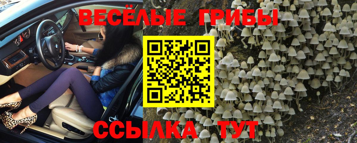 Галлюциногенные грибы MAGIC MUSHROOMS  магазин продажи   Балашиха  Галлюциногенные грибы мухоморы  Вход с VPN 